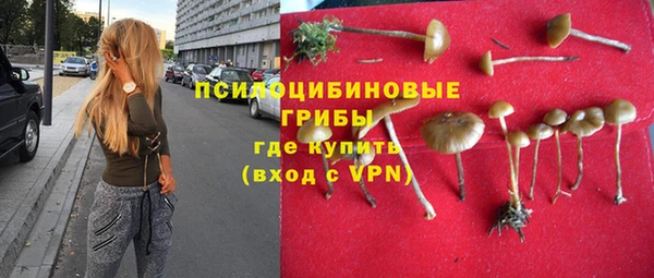 ешки Краснослободск